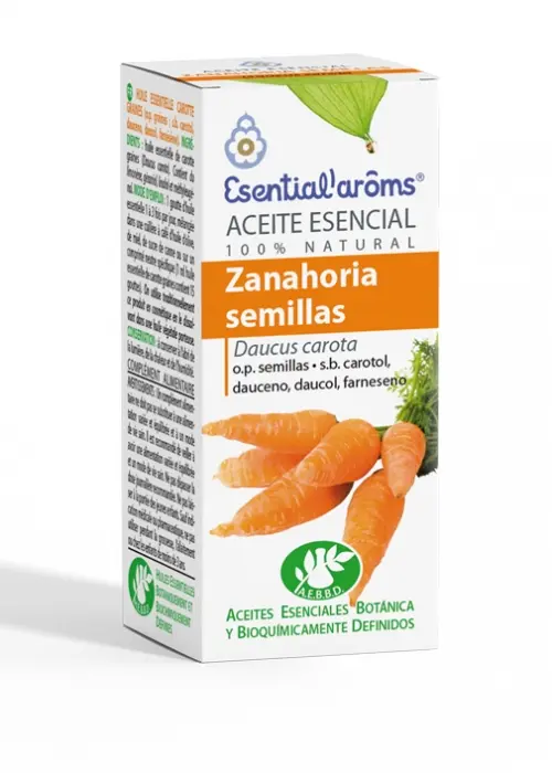 Zanahoria Semillas