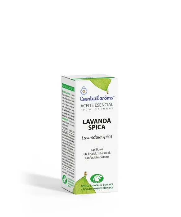 Lavanda Spica (espliego)