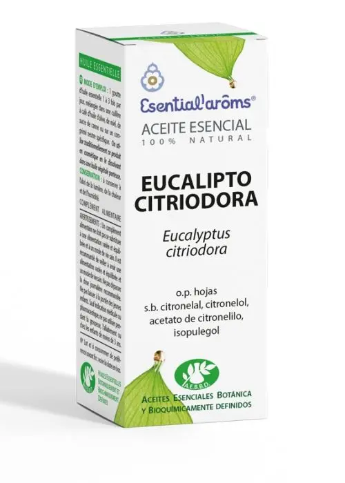 Eucalipto Citriodora