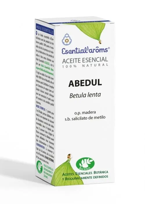 Abedul 