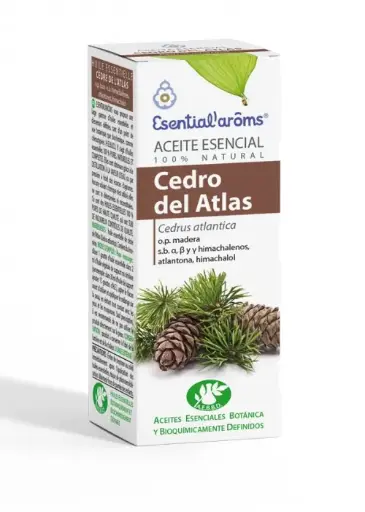 [AE024] Cedro del Atlas