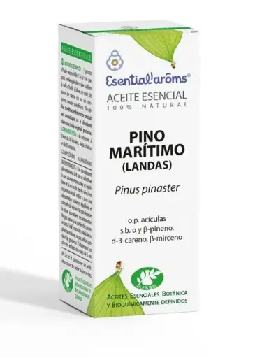 [AE101] Pino Marítimo (Landas)