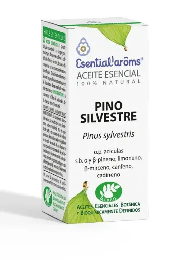 [AE102] Pino Silvestre