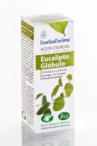Eucalipto Glóbulo