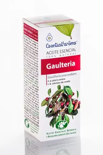 [AE043] Gaulteria