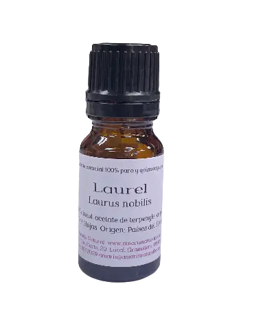 Laurel  ART