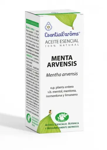 [AE074] Menta Arvensis