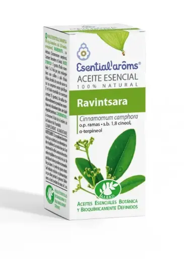 [AE105] Ravintsara
