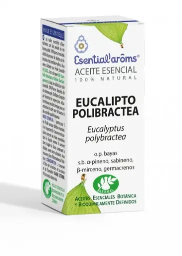 [AE198] Eucalipto Polibractea