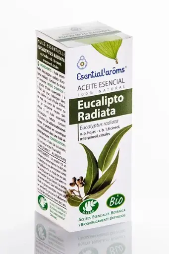 [AE041] Eucalipto Radiata Bio