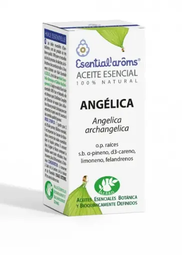 [AE010] Angélica
